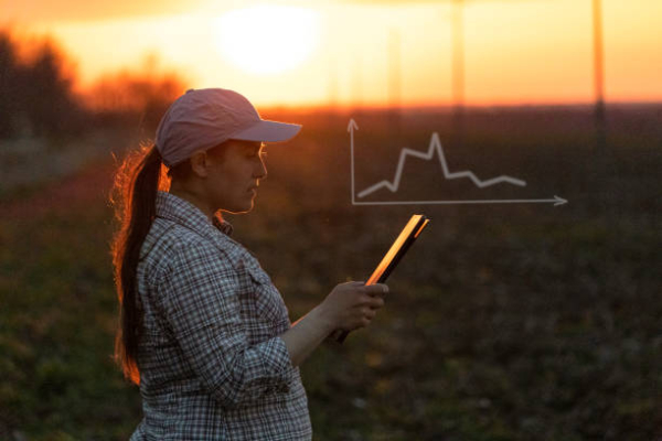 Segurada Especial tem direito a Salário Maternidade? - Taveira Advogados - Advocacia Previdenciária - Especialistas em INSS