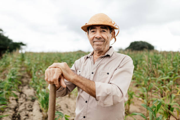 Trabalhador Rural tem direito a Auxílio- Acidente? - Taveira Advogados - Advocacia Previdenciária - Especialistas em INSS