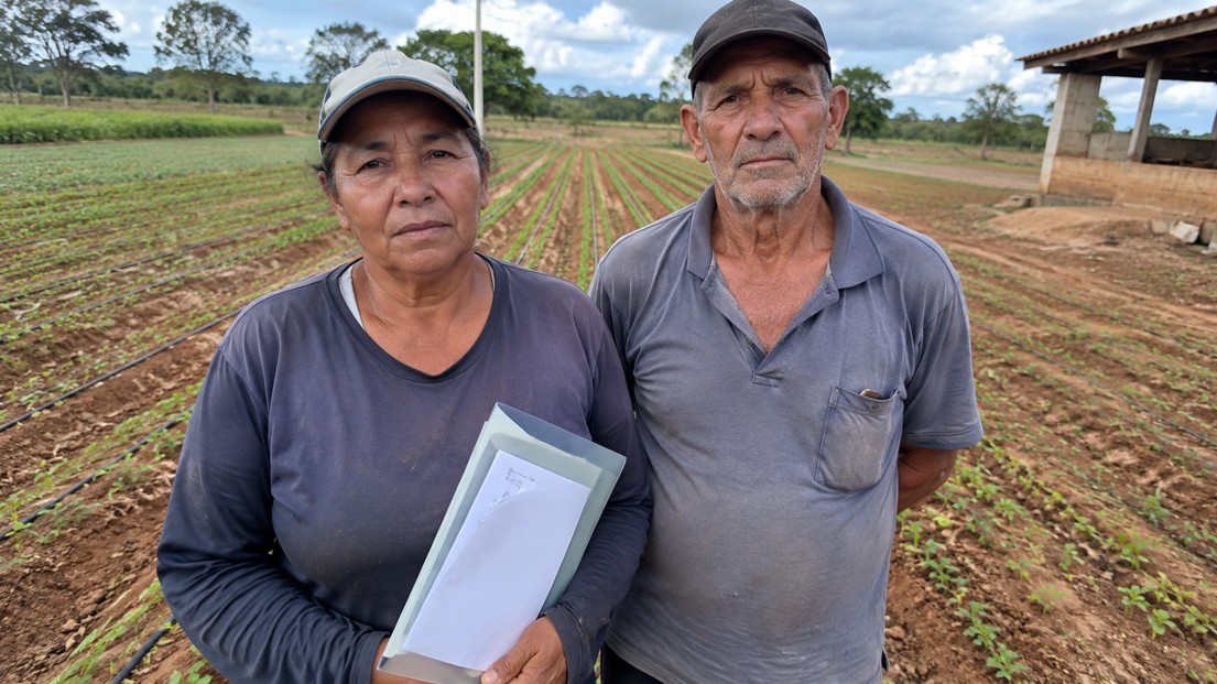 Boia-fria e diarista rural: como conseguir aposentadoria sem carteira assinada - Taveira Advogados - Advocacia Previdenciária - Especialistas em INSS
